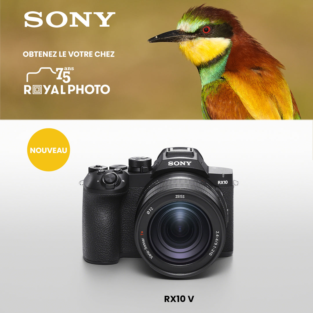 Sony News