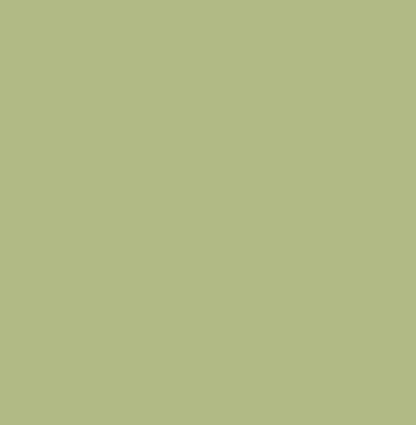 107'' x 36' Seamless Background Paper - 13 Tropical Green
