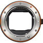 External synced image