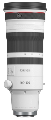 RF 100-300mm F2.8 L IS USM