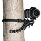 External synced image