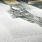 External synced image