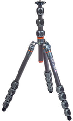 External synced image