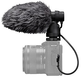 External synced image