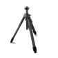 External synced image
