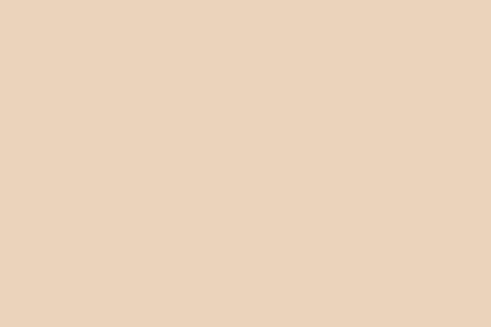 107'' x 36' Seamless Background Paper - 33 Ivorine