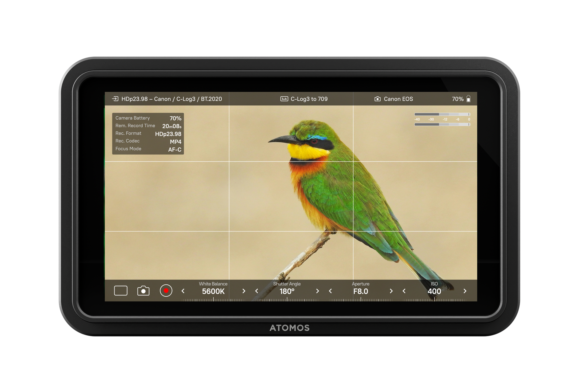 External synced image