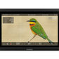 External synced image