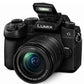Lumix G95 Mirrorless Camera with 12-60mm F3.5-5.6 MFT Lens