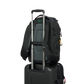 External synced image