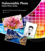 External synced image