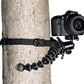 External synced image