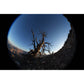 SONY 8-14MM F 3,5 FISHEYE G