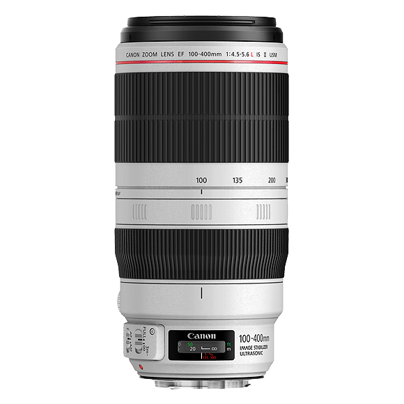 External synced image