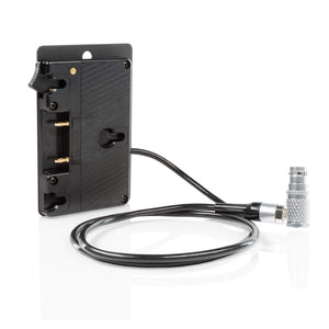 Alexa Mini Gold Mount Battery Plate