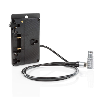 Alexa Mini Gold Mount Battery Plate