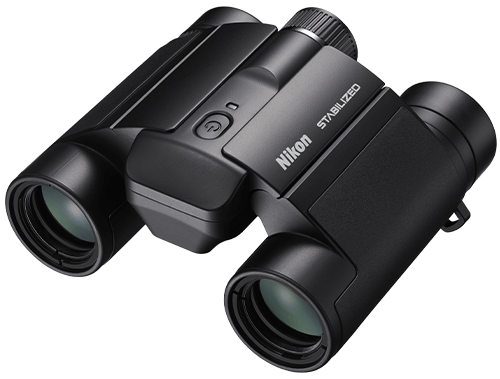 STABILIZED 10x25 S Binoculars