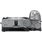 Z5IIC Body Only (Silver)