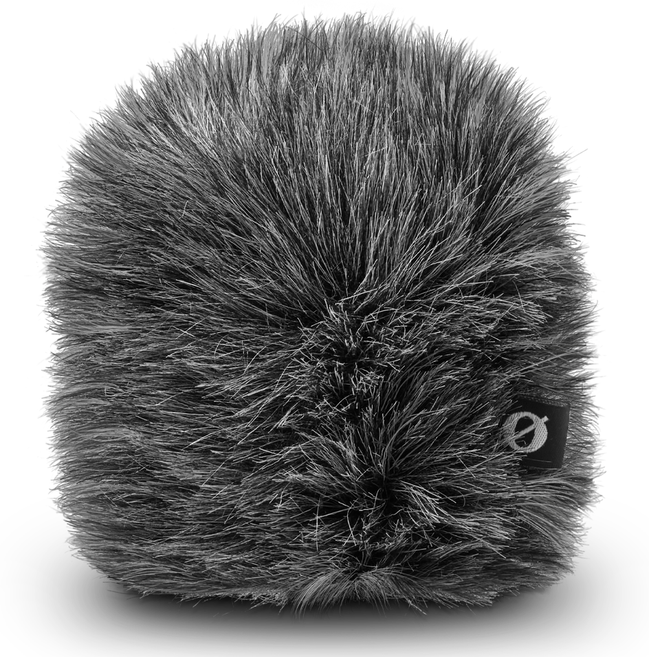 External synced image