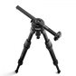 External synced image