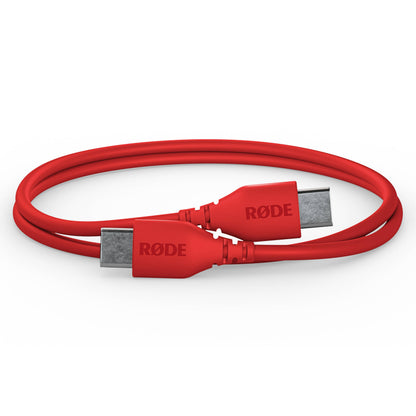 Câble USB-C vers USB-C SC22 de 30 cm