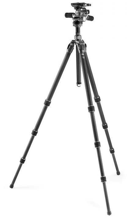 External synced image